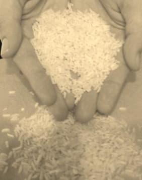 Food policy